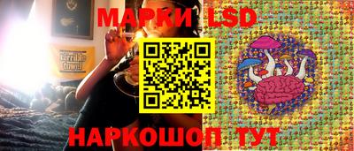 прущие грибы Нарткала